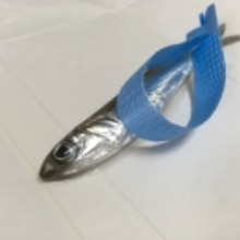 小イワシのお刺身 簡単さばき方 小鰯編 レシピ 作り方 By Takenoppu 楽天レシピ 小イワシのお刺身 簡単さばき方 小鰯編 レシピ 作り方 By Takenoppu 楽天レシピ